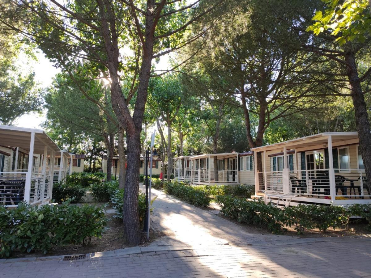 Badiaccia Village Camping Castiglione del Lago Luaran gambar